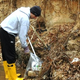 Illustration for article titled The Root Day of Service